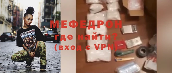 мдпв Гусев