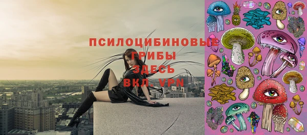 первитин Гусь-Хрустальный
