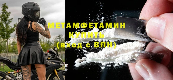 мдпв Гусев