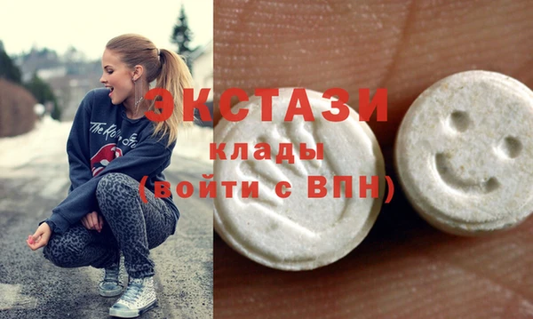мдпв Гусев